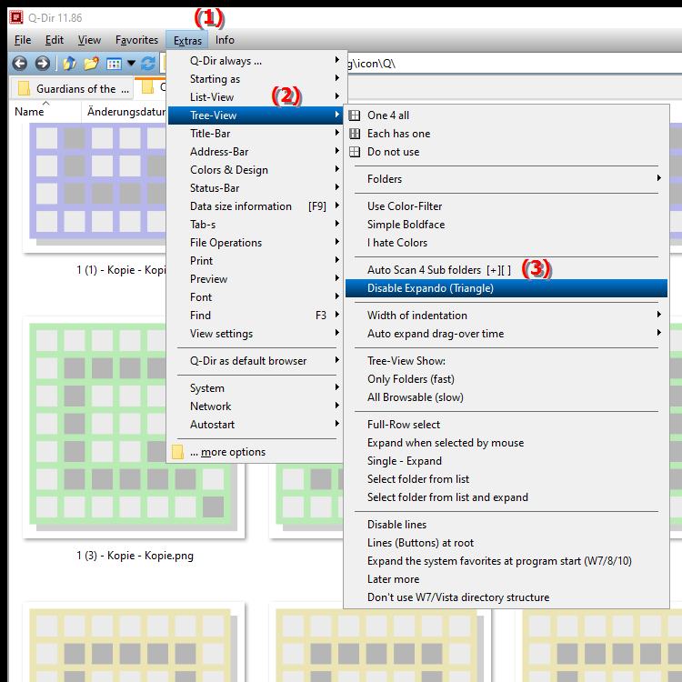 How can I use plus and minus signs in File Explorer and disable the Expando feature